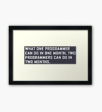 What one programmer can do in one month Framed Print