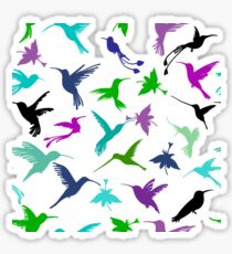 Colobri Sticker
