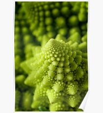 Romanesco broccoli Poster
