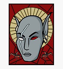 Morrowind's True Hero Photographic Print