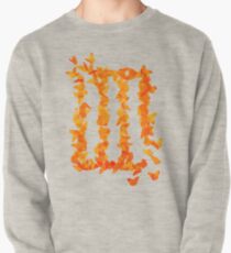 Paramore Pullover