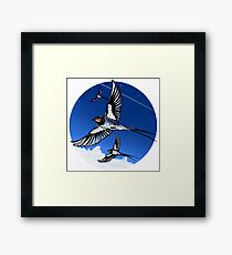 Swift up High Framed Print