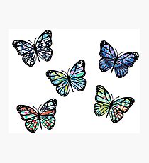 Cute Patterned, Flying Butterflies Pack of 5 Photographic Print