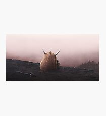 Rose Gold Photographic Print