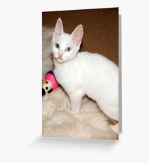 jules Greeting Card