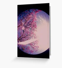 Flowering Greeting Card