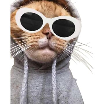 Just A Doctor Who Loves Beluga Cat' Men's Zip Hoodie