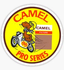 Camel racing Sticker