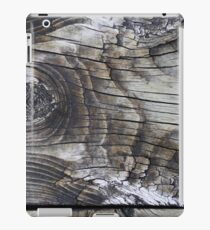 Flying iPad Case/Skin