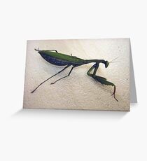 soothsayer Greeting Card
