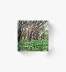 Bushland Acrylic Block