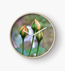 Toolangi Rose buds Clock
