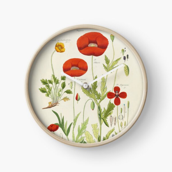 Botanical illustration: Poppy by David Dietrich – State Library Victoria Clock
