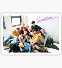 SVT Wowee Sticker