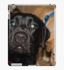 Jake iPad Case/Skin