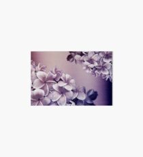 Purple Oil Plumeria Blossoms Art Board