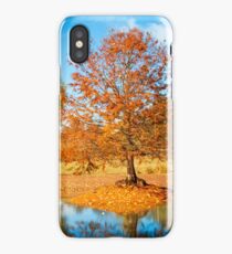 Autumn at Balingup iPhone Case