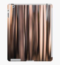 After the Fire Abstract #2 iPad Case/Skin
