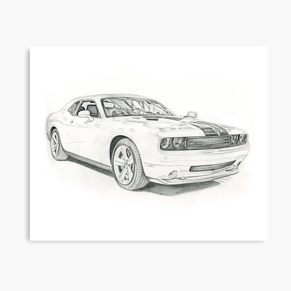 Dodge Challenger Pencil Drawing - animals Pencil Drawing