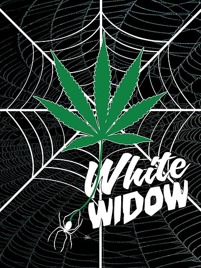 White Widow Poster By Mulrats Redbubble 1579