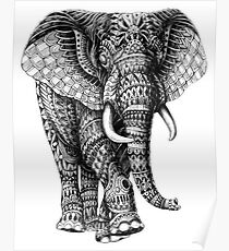 Adult coloring: elephant Poster