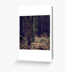 { earth & wood } Greeting Card