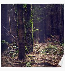 { earth & wood } Poster