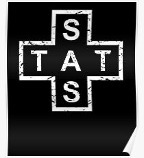 Stylish Stats Poster