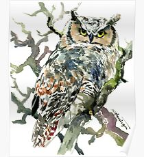 Great Horned OWl Poster