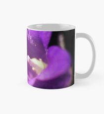 Foto Makro Campanula Tasse (Standard)