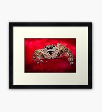 Jumping Spider Macro Framed Print