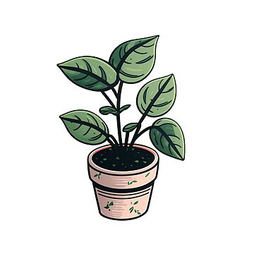 A Small Plant With Two Leaves In A Orange Pot, Vector, Color Drawing Or  Illustration. Royalty Free SVG, Cliparts, Vectors, and Stock Illustration.  Image 132781971.
