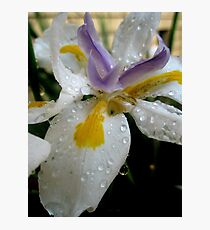 Splashed Photographic Print