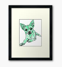 Dani the Chihuahua Framed Print