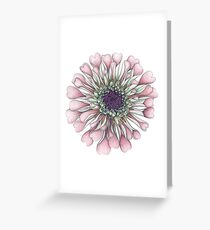 Salmon Zinnia in Full Floral Splendor Greeting Card
