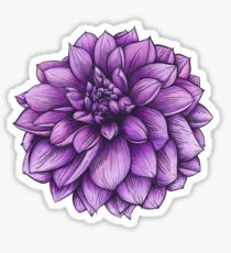 Thomas Edison Dahlia Botanical Illustration Sticker
