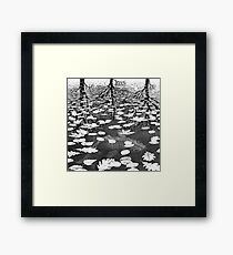 Escher Framed Print