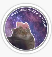 The Prophecy is True Sticker