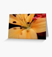 Lilly Greeting Card