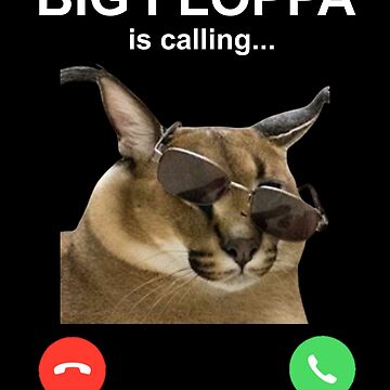 Big Floppa.  Cat memes, Memes, Funny profile