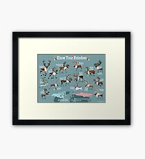 Know Your Reindeer Framed Print