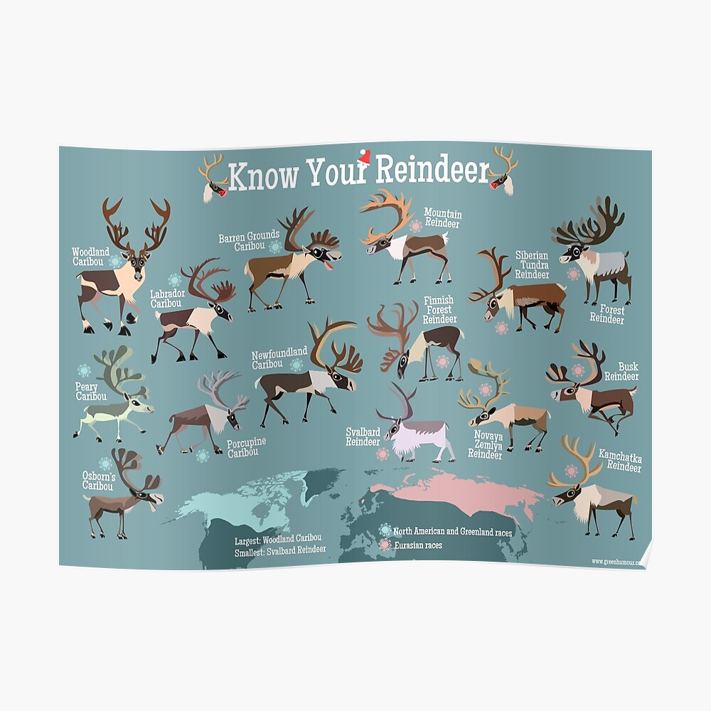 "Know Your Reindeer" Poster by rohanchak Redbubble
