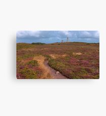 Cap Frehel Canvas Print