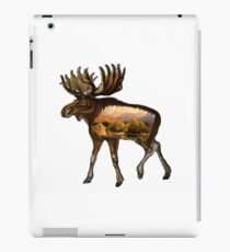 Deep Within iPad Case/Skin