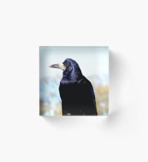The Rook Acrylic Block