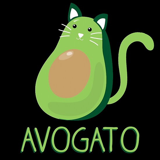 jelly cat avocado