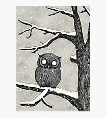 Owl in the Snow Photographic Print