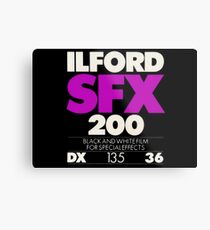Ilford SFX Metal Print
