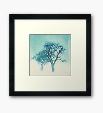 Dream Trees Framed Print