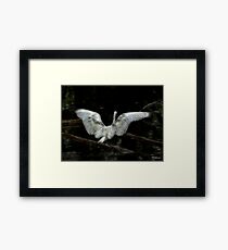 Taking Flight Framed Print